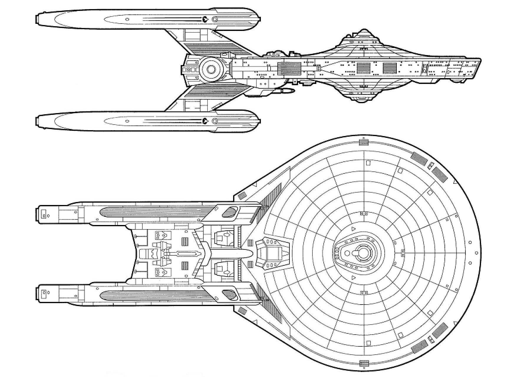 2893 Dorsal-Starboard